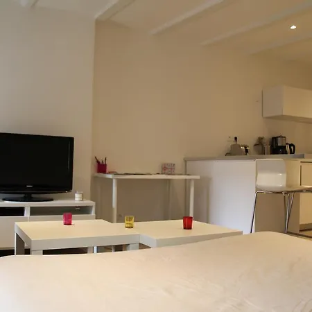 Studio Coeur D'annecy Apartment